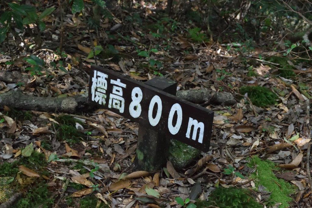 f:id:kakkunn1031:20191115014538j:plain