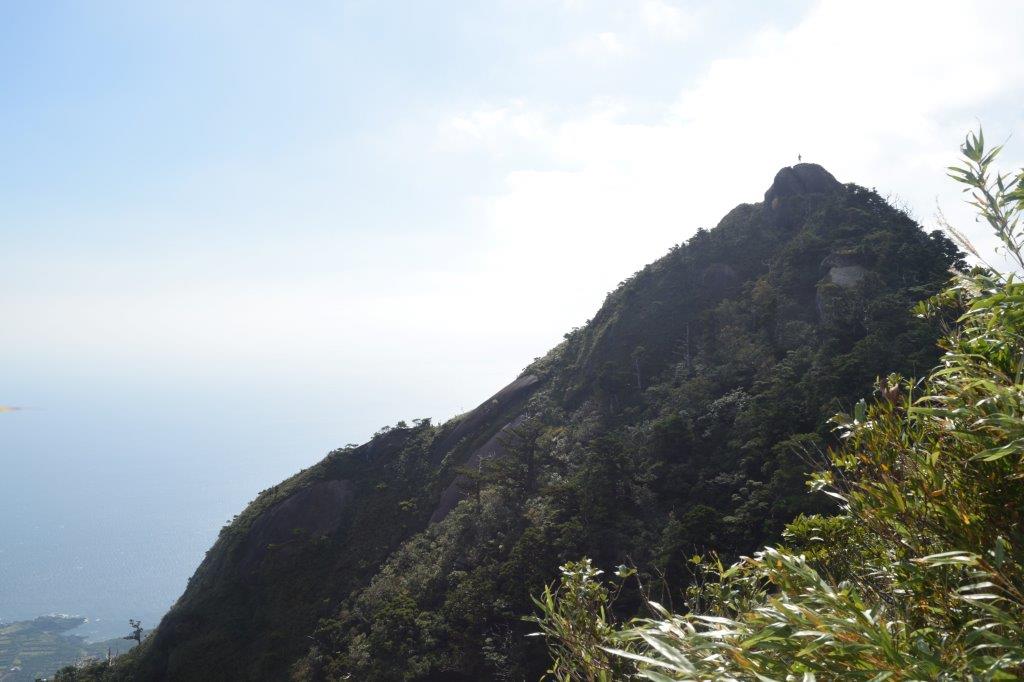 f:id:kakkunn1031:20191115014658j:plain