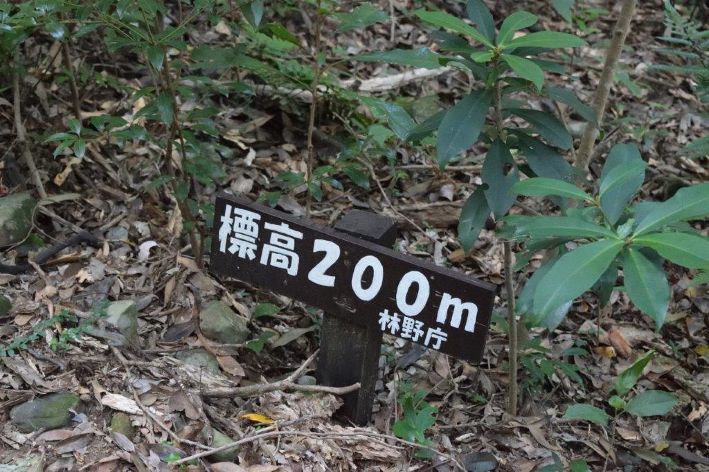 f:id:kakkunn1031:20191115222345j:plain