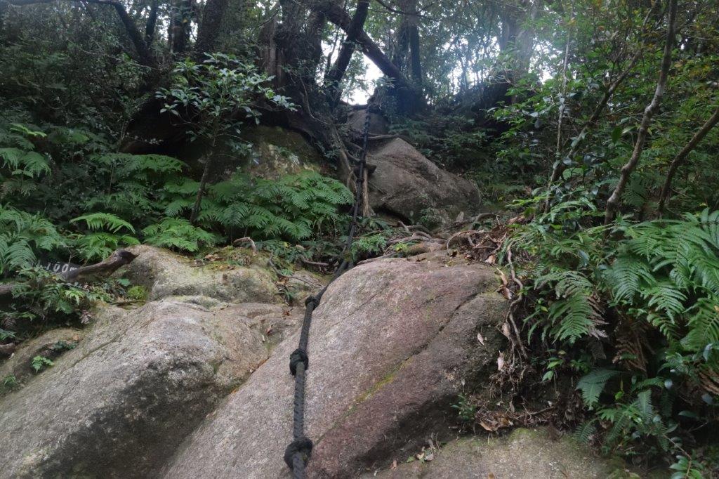 f:id:kakkunn1031:20191115222429j:plain