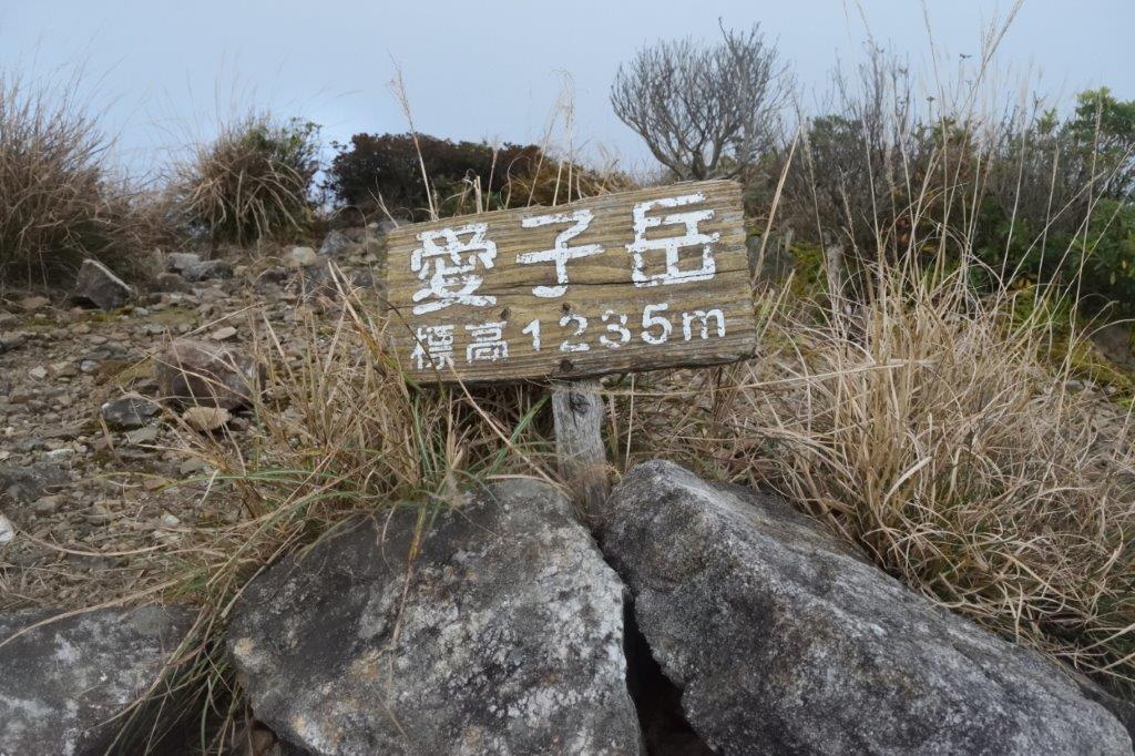 f:id:kakkunn1031:20191115222449j:plain