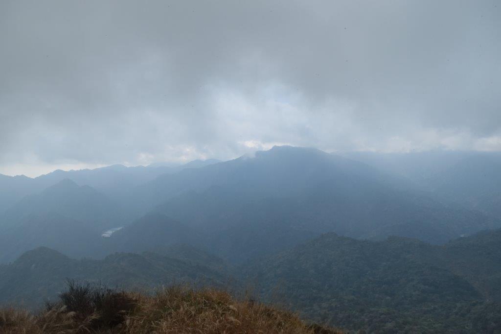 f:id:kakkunn1031:20191115222455j:plain