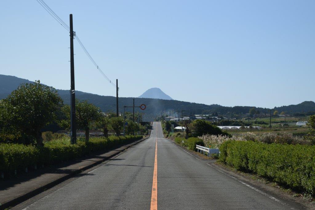 f:id:kakkunn1031:20191117211108j:plain