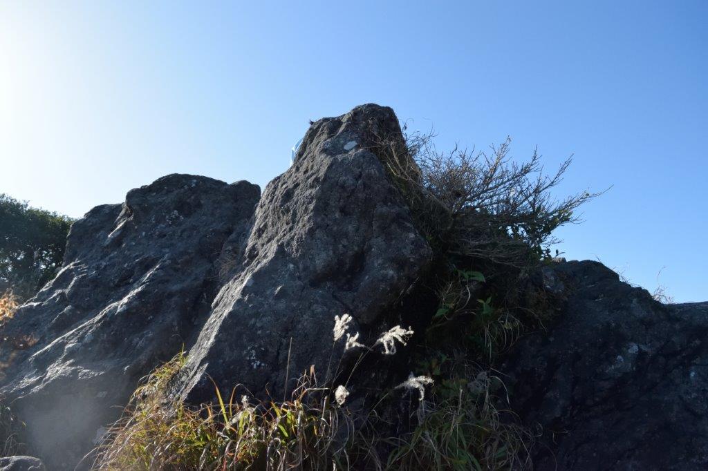 f:id:kakkunn1031:20191117211300j:plain