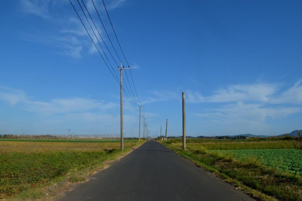 f:id:kakkunn1031:20191118210100j:plain