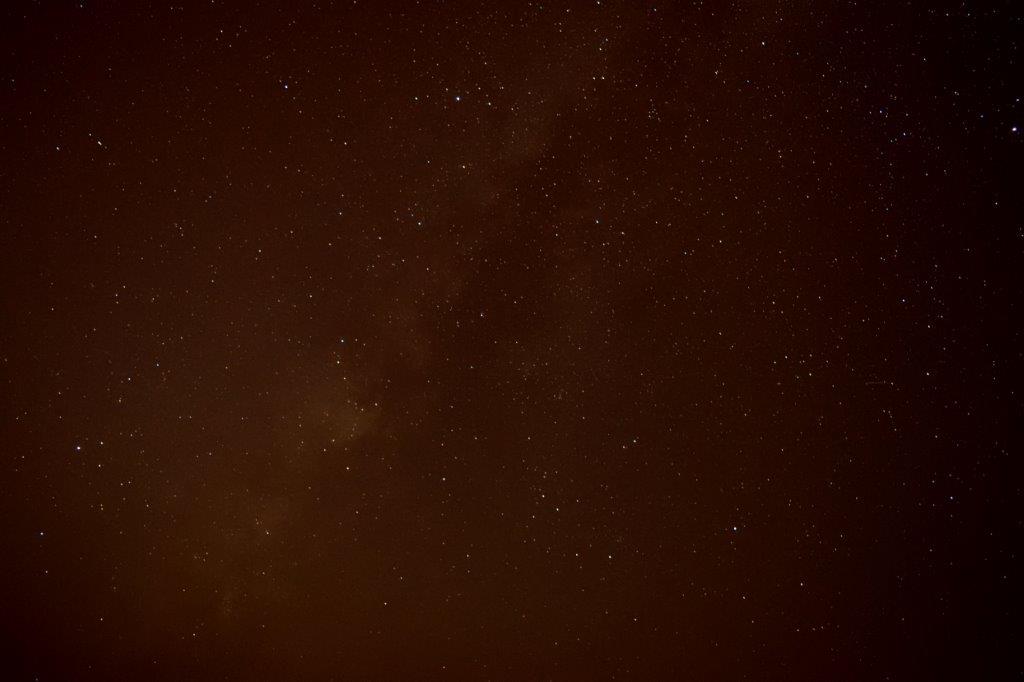 f:id:kakkunn1031:20191118210210j:plain