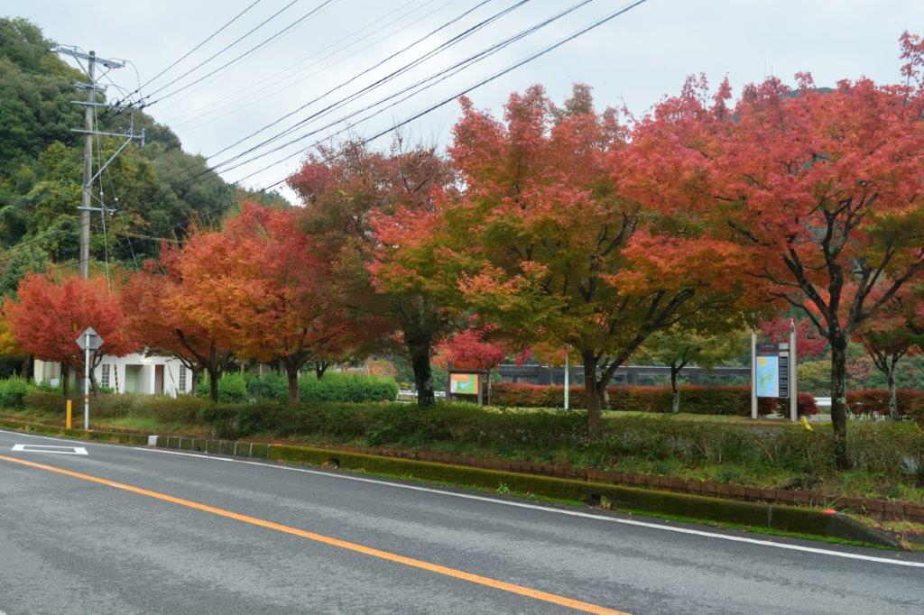 f:id:kakkunn1031:20191118235551j:plain