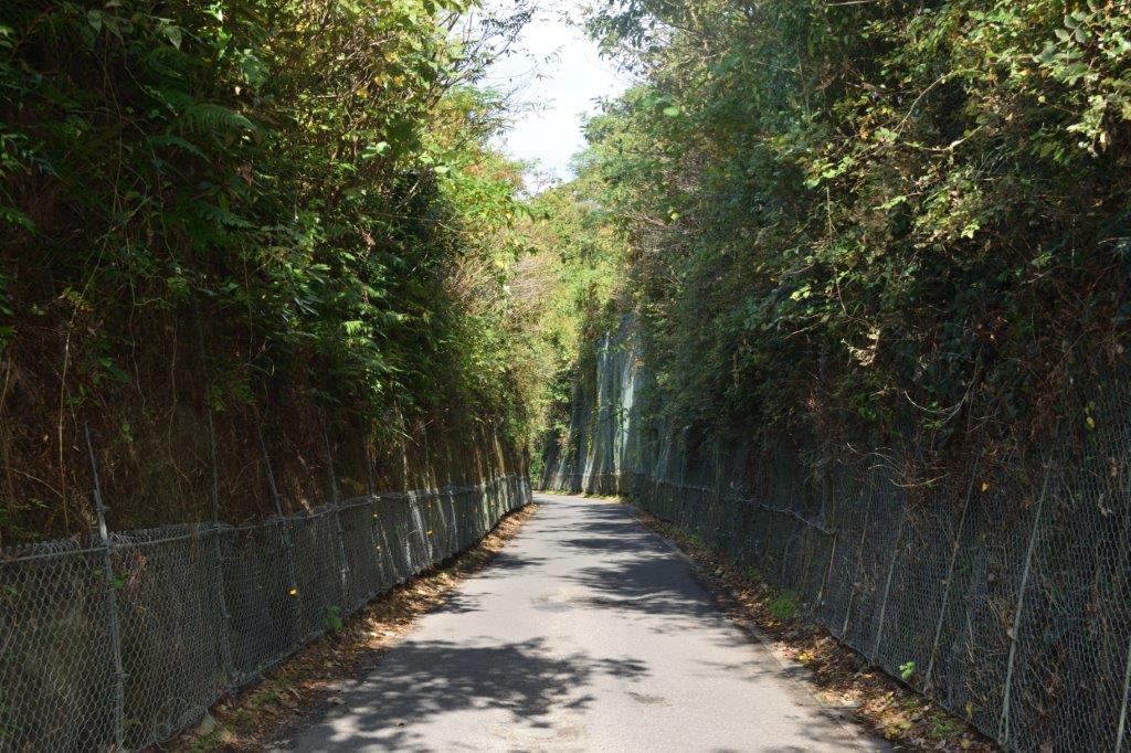 f:id:kakkunn1031:20191119224627j:plain