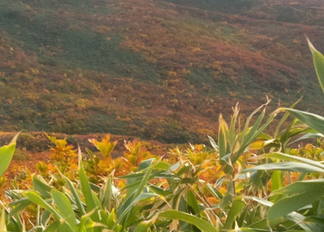 f:id:kako97910:20211011223857j:image f:id:kako97910:20211011223857j:image