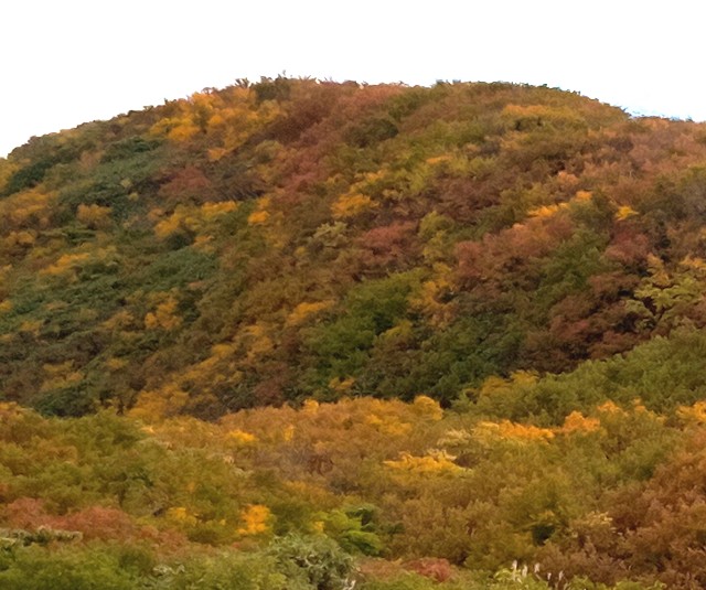 f:id:kako97910:20211011224026j:image f:id:kako97910:20211011224026j:image