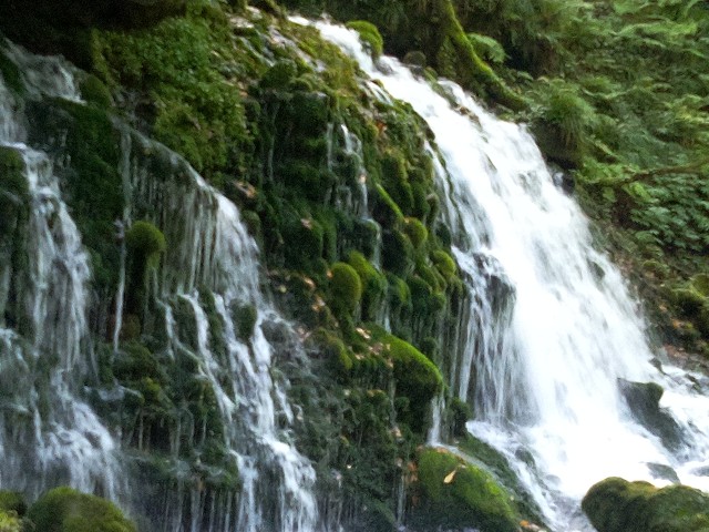 f:id:kako97910:20211014234106j:image f:id:kako97910:20211014234106j:image