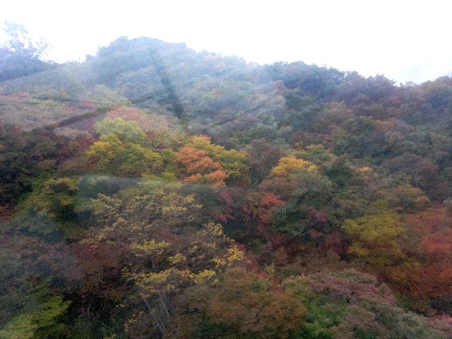 f:id:kako97910:20211101005216j:image