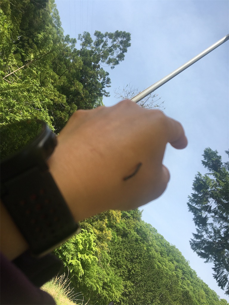 f:id:kakohiro:20210504143432j:image f:id:kakohiro:20210504143432j:image