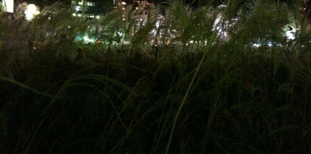 f:id:kakoi:20091115233958j:image