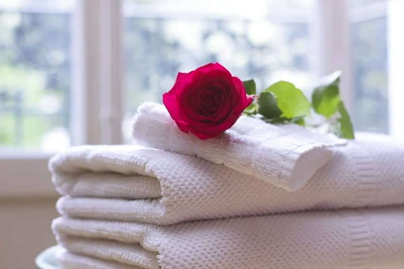 資生堂 ドルックス クレンジングクリームがいい感じ シニアの使い方を公開 Kako B