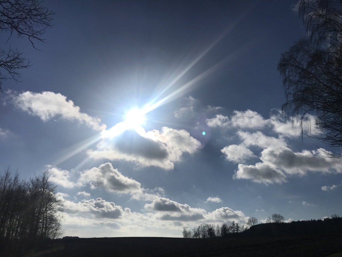 f:id:kakopash:20190326070951j:plain f:id:kakopash:20190326070951j:plain