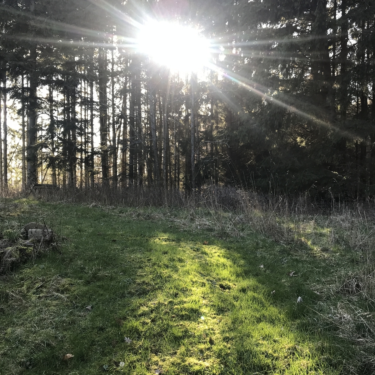 f:id:kakopash:20190326071023j:plain f:id:kakopash:20190326071023j:plain