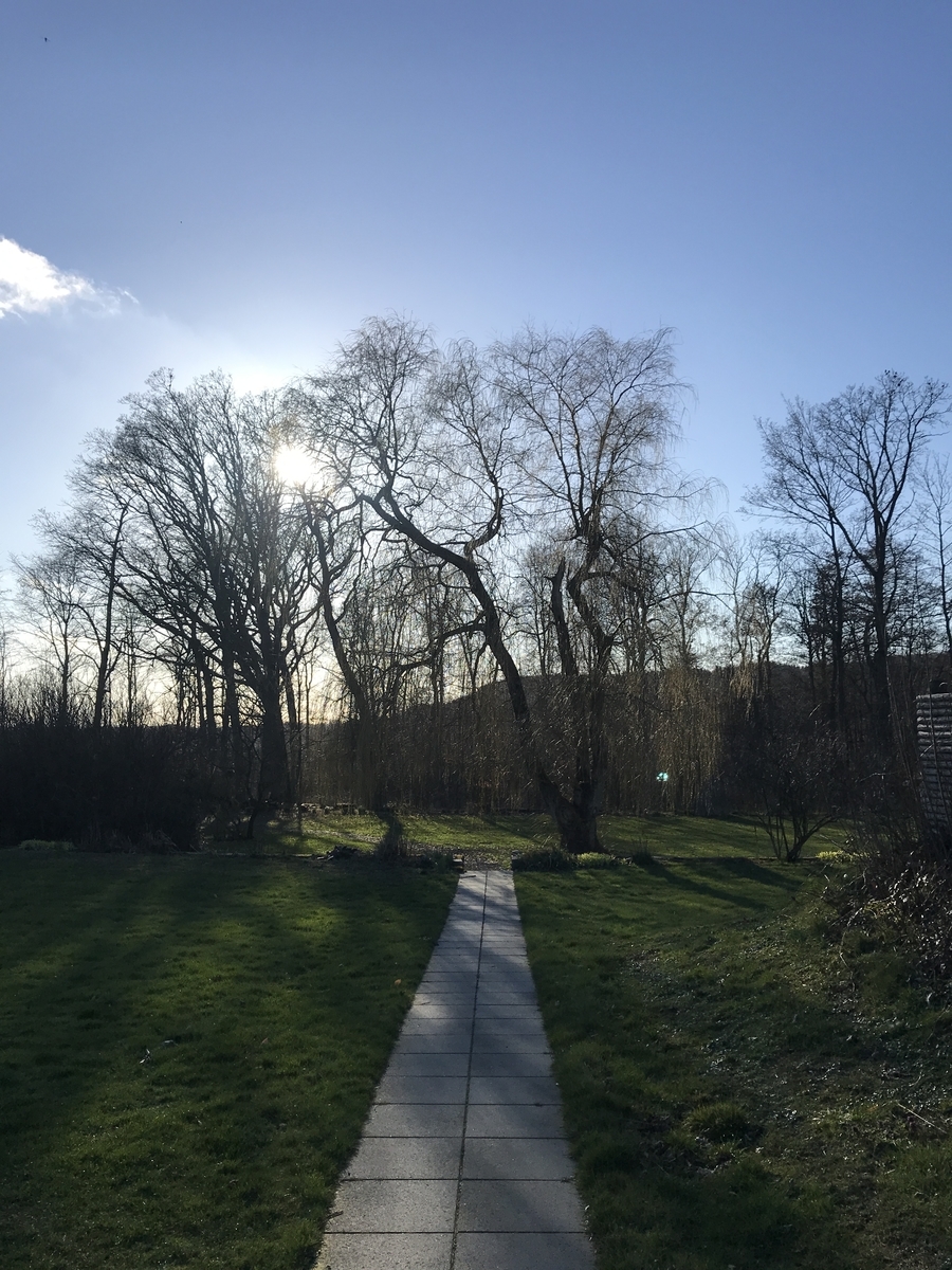 f:id:kakopash:20190326071140j:plain f:id:kakopash:20190326071140j:plain