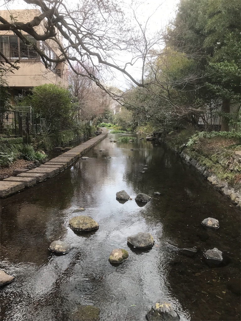 f:id:kaku90degree:20190225025217j:image f:id:kaku90degree:20190225025217j:image