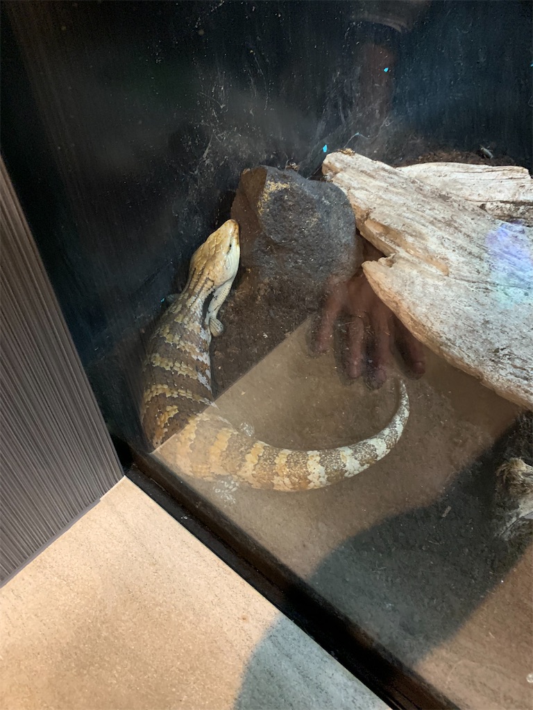 f:id:kaku90degree:20200728180959j:image f:id:kaku90degree:20200728180959j:image