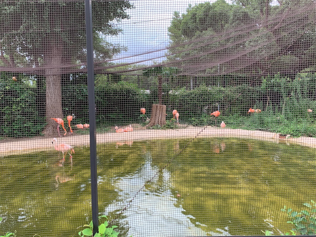 f:id:kaku90degree:20200728181043j:image f:id:kaku90degree:20200728181043j:image