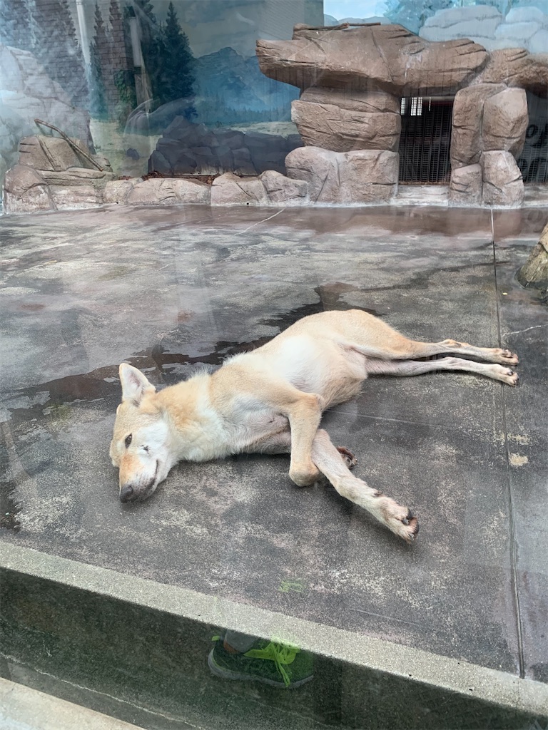 f:id:kaku90degree:20200728182813j:image f:id:kaku90degree:20200728182813j:image