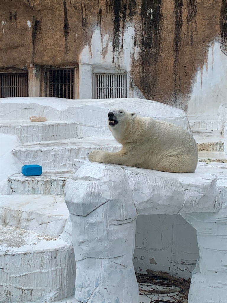 f:id:kaku90degree:20200728182840j:image f:id:kaku90degree:20200728182840j:image