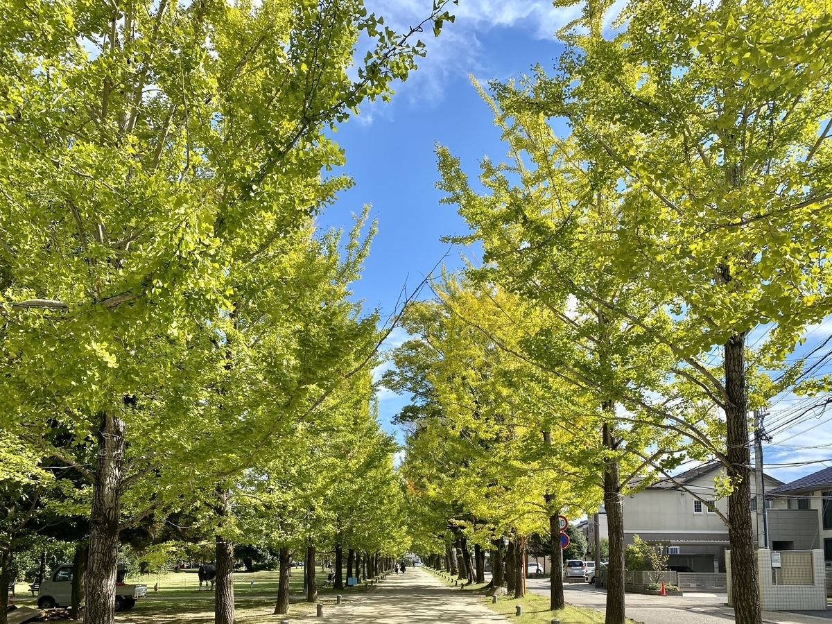 f:id:kakukakumagazine:20211027205335j:plain
