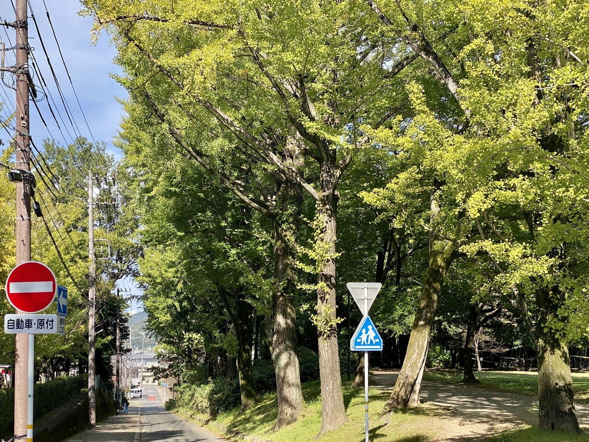 f:id:kakukakumagazine:20211027205458j:plain