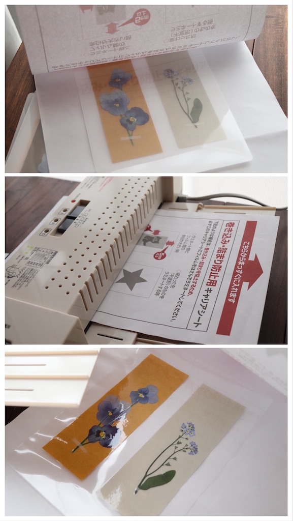 f:id:kakukuma_zakka:20210505183610j:image f:id:kakukuma_zakka:20210505183610j:image