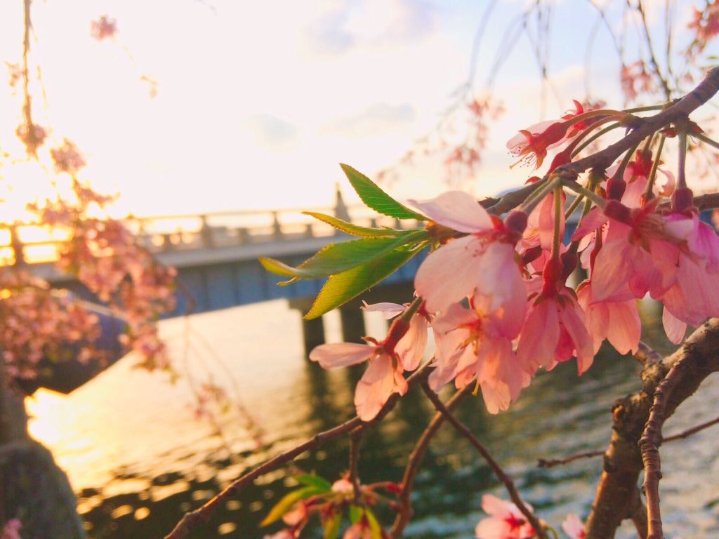 f:id:kakumeihaitumo:20180219025036j:plain