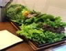 f:id:kakurakyo:20190325210246j:plain f:id:kakurakyo:20190325210246j:plain