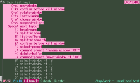 f:id:kakurasan:20100331211942p:image