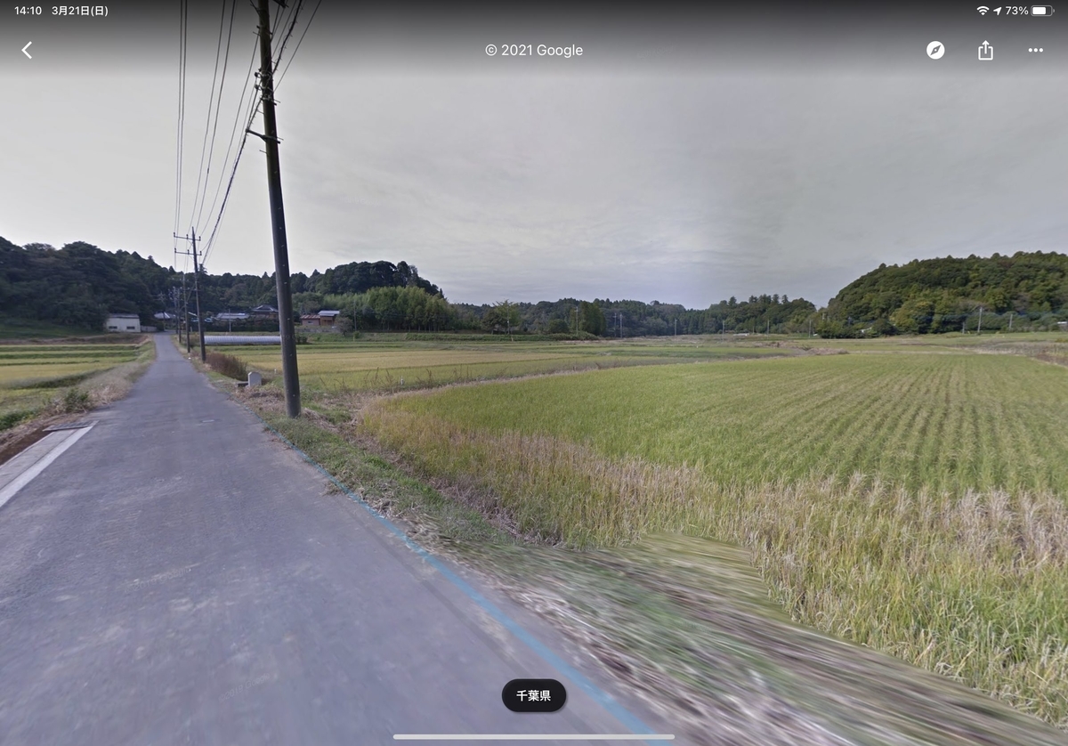 f:id:kakushika33:20210321171322j:plain