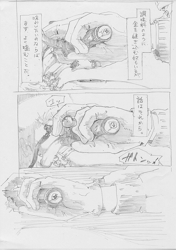 f:id:kakuten:20100517220819j:image