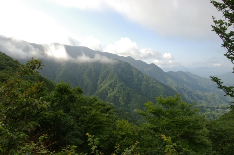 f:id:kakuten:20170721210839j:image
