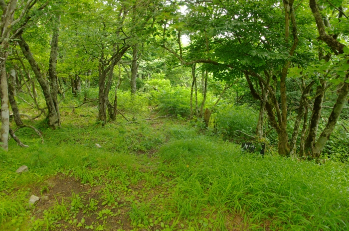 f:id:kakuten:20170721210847j:image