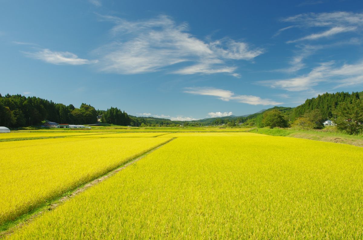 f:id:kakuten:20210927215903j:plain