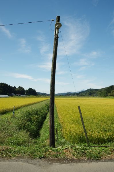 f:id:kakuten:20210927215914j:plain