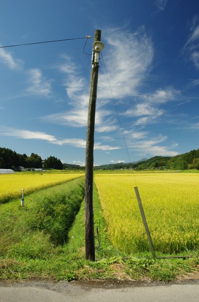 f:id:kakuten:20210927215921j:plain