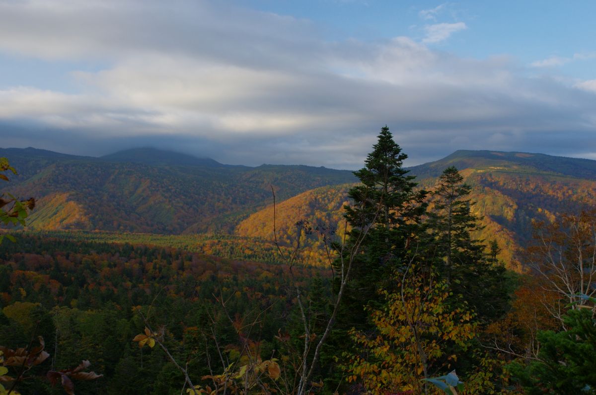 f:id:kakuten:20211011214234j:plain