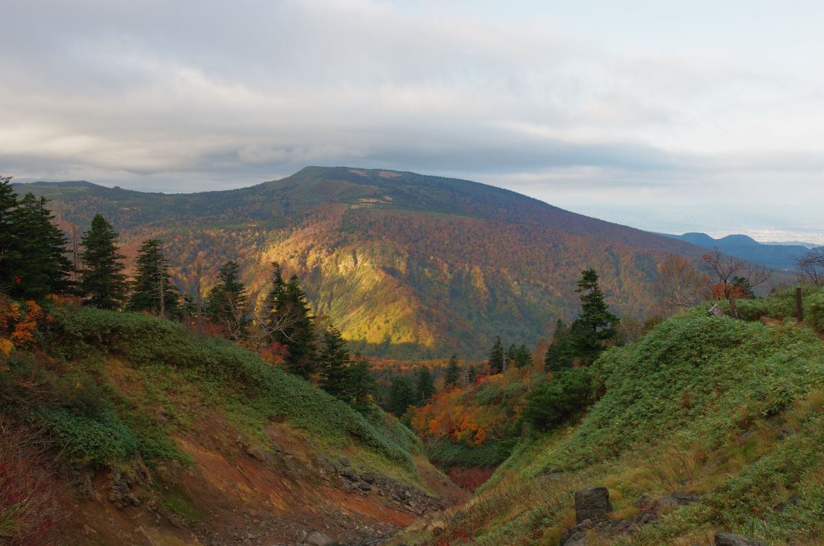 f:id:kakuten:20211011214238j:plain