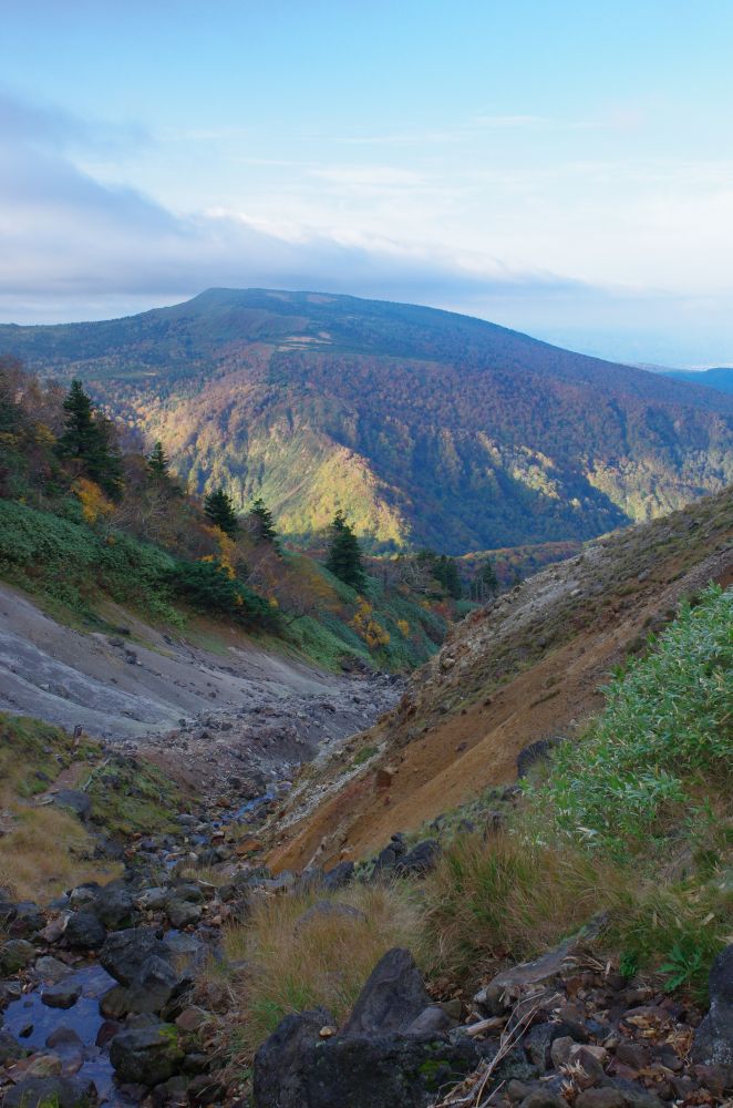 f:id:kakuten:20211011214247j:plain