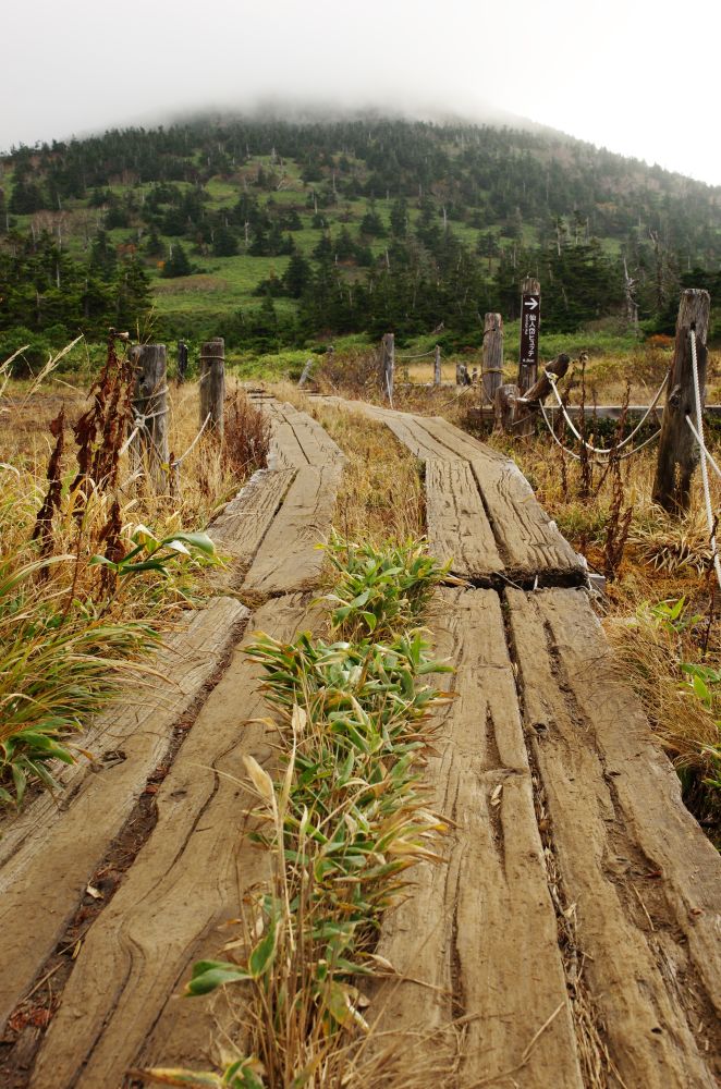 f:id:kakuten:20211011214255j:plain