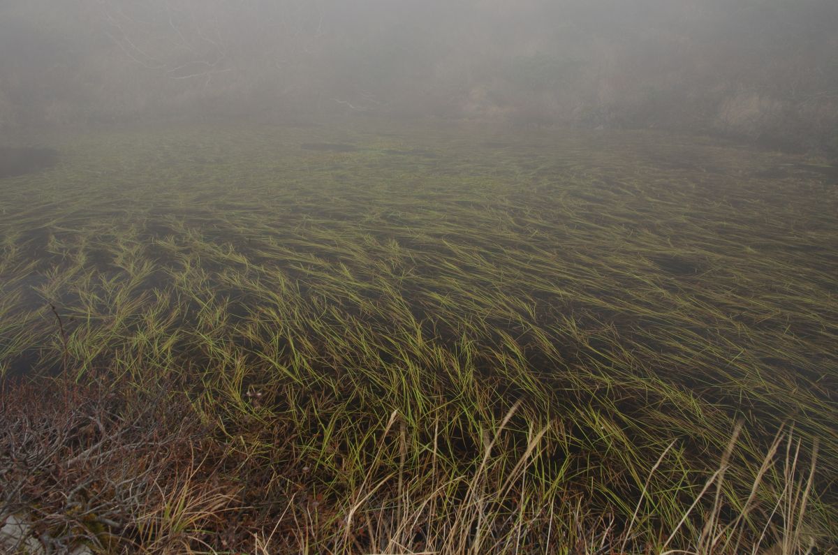 f:id:kakuten:20211011214303j:plain