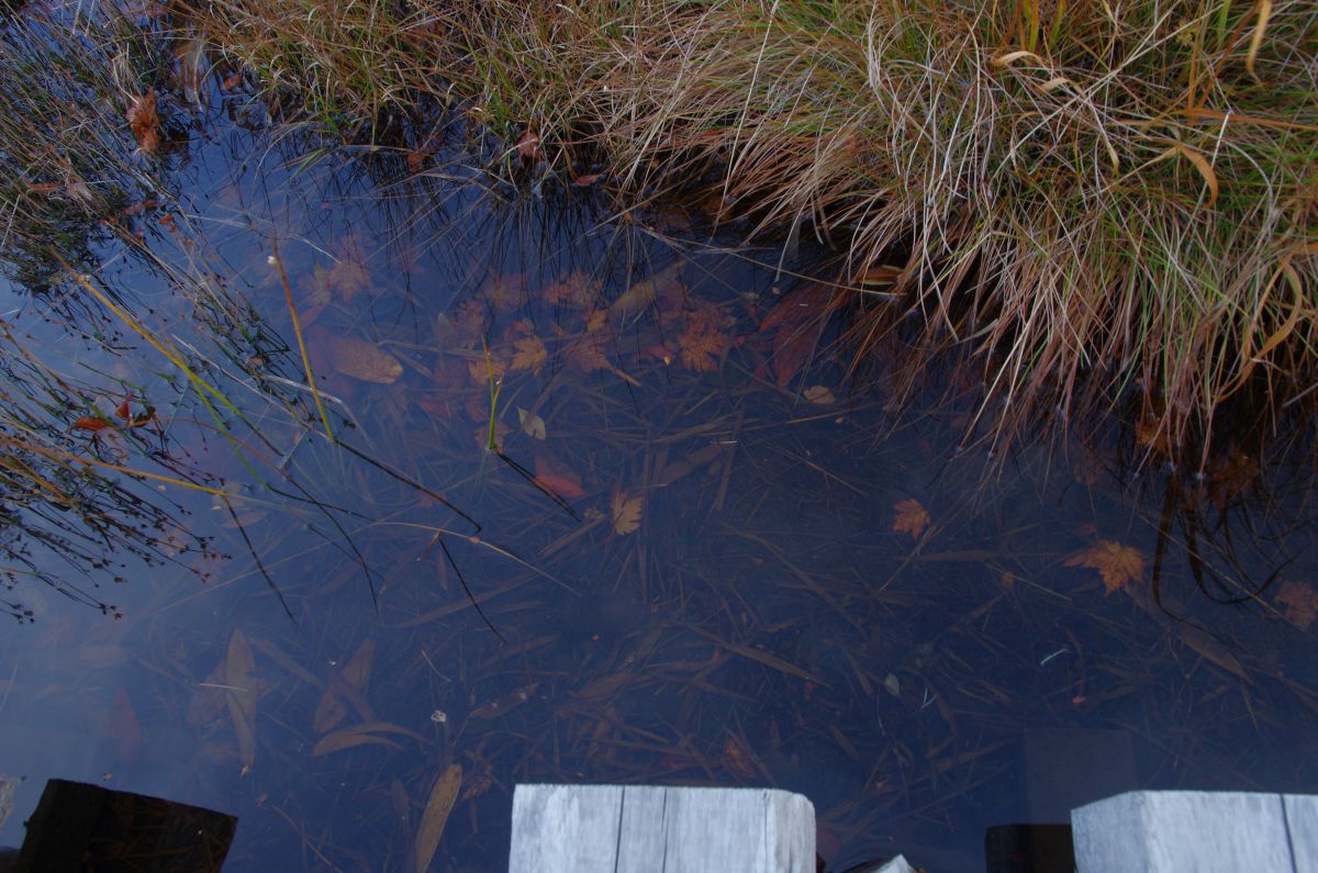 f:id:kakuten:20211011214312j:plain