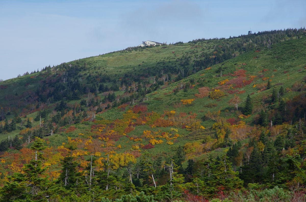 f:id:kakuten:20211011214316j:plain