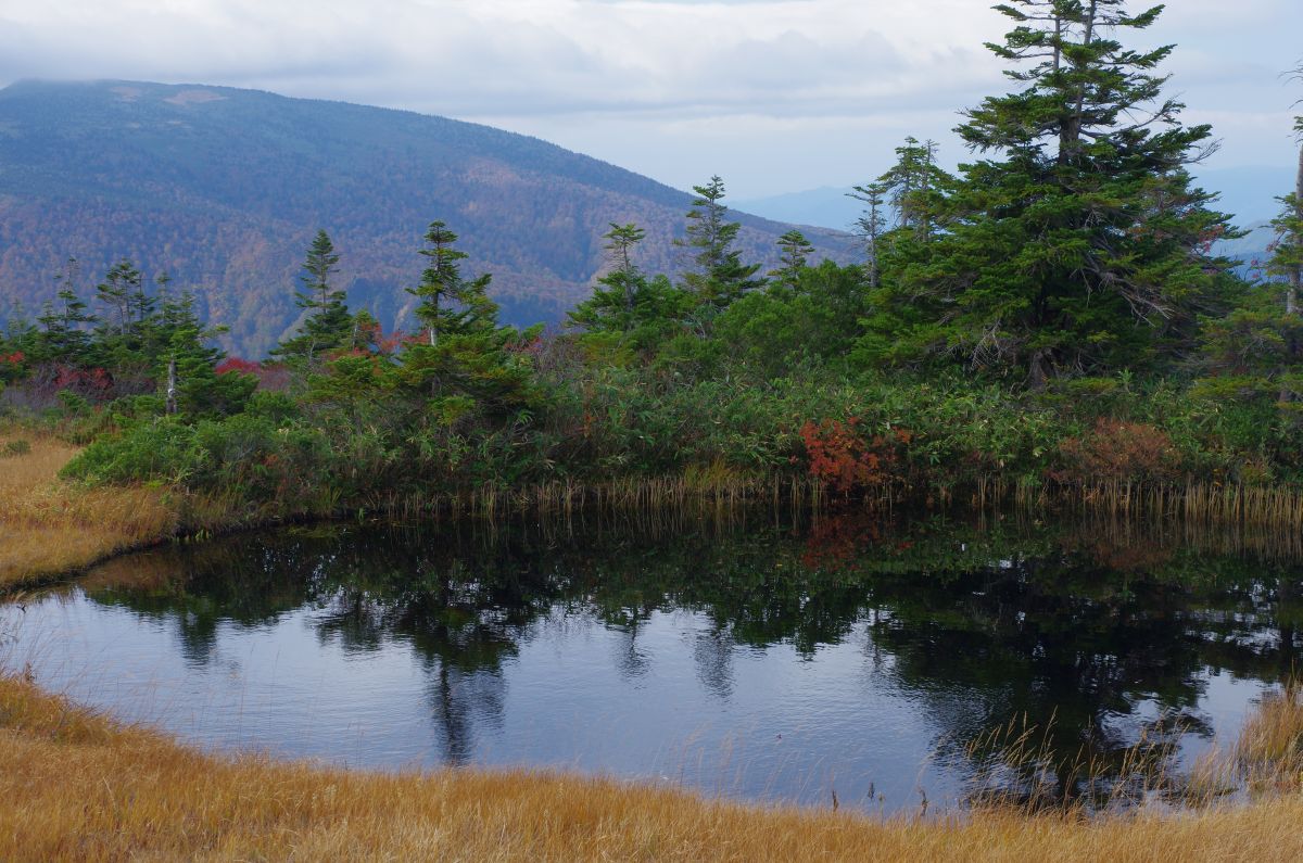 f:id:kakuten:20211011214327j:plain