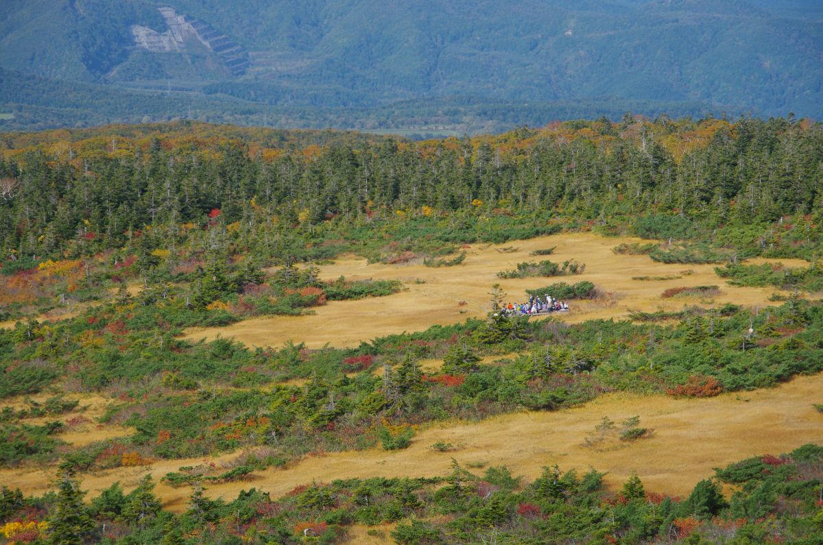 f:id:kakuten:20211011214335j:plain