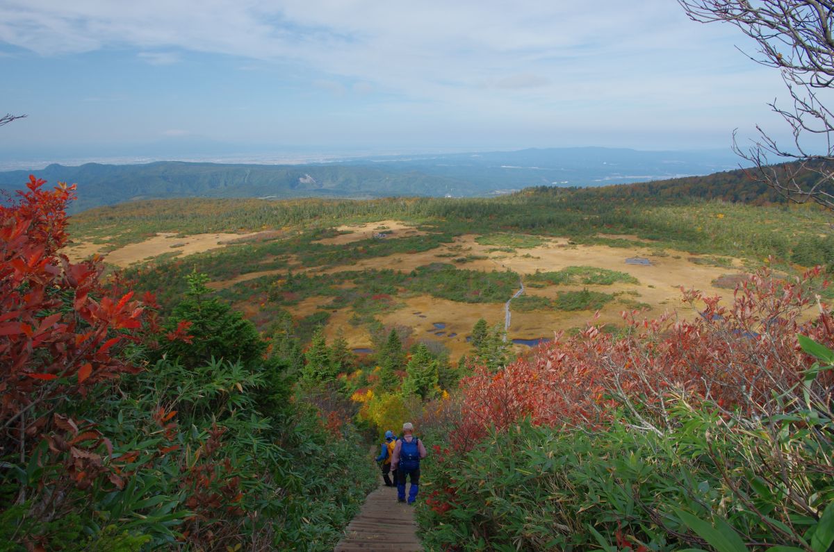 f:id:kakuten:20211011215415j:plain